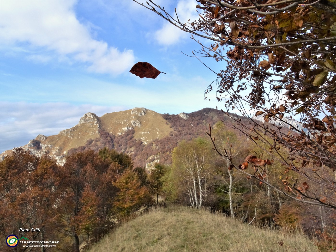 03 Una foglia colta in caduta libera ..sopra il Due Mani.JPG